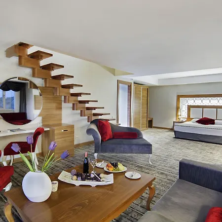 ホテル Justiniano Deluxe オクルカラール